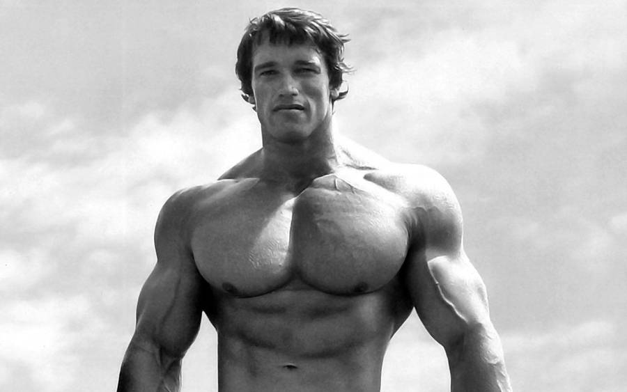 Arnold Schwarzenegger